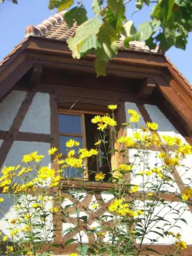 Vakantiehuis Les Cerisiers *