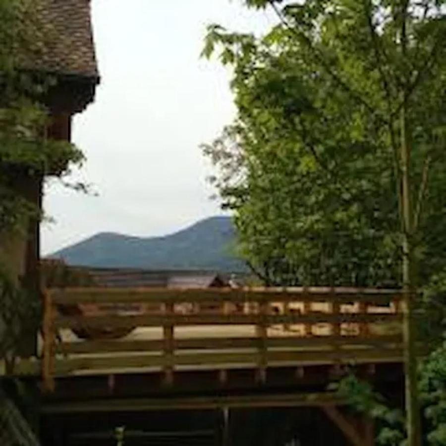 Ferienhaus Les Cerisiers Triembach-au-Val